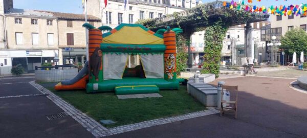 combo safari OCCASION – Image 10