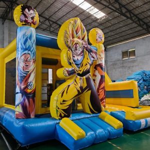 combo dbz NEUF