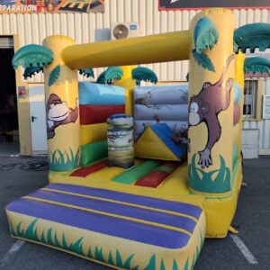 petit jungle OCCAS