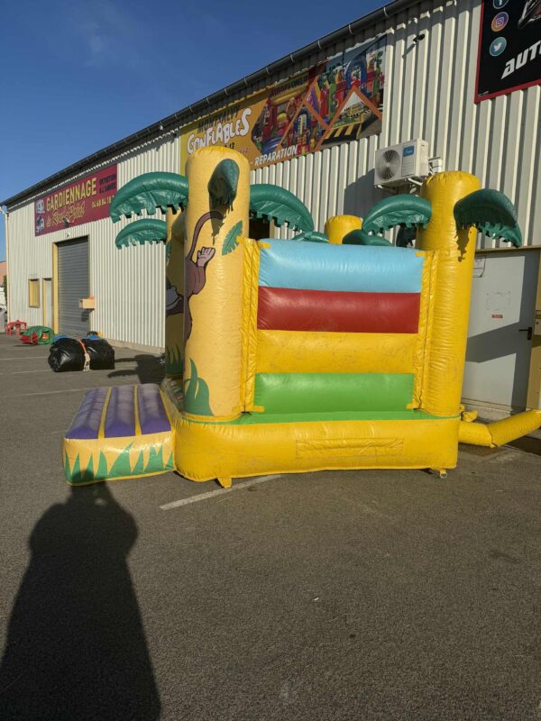 petit jungle OCCAS – Image 4
