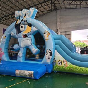 combo bluey NEUF