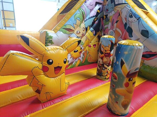 parc pokemon NEUF – Image 8