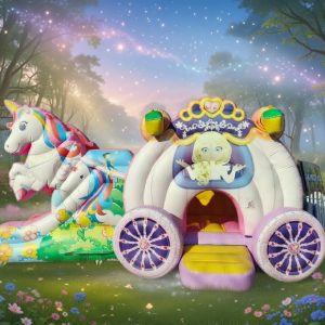 carosse des licornes OCCASION