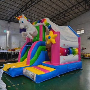 combo licorne NEUF